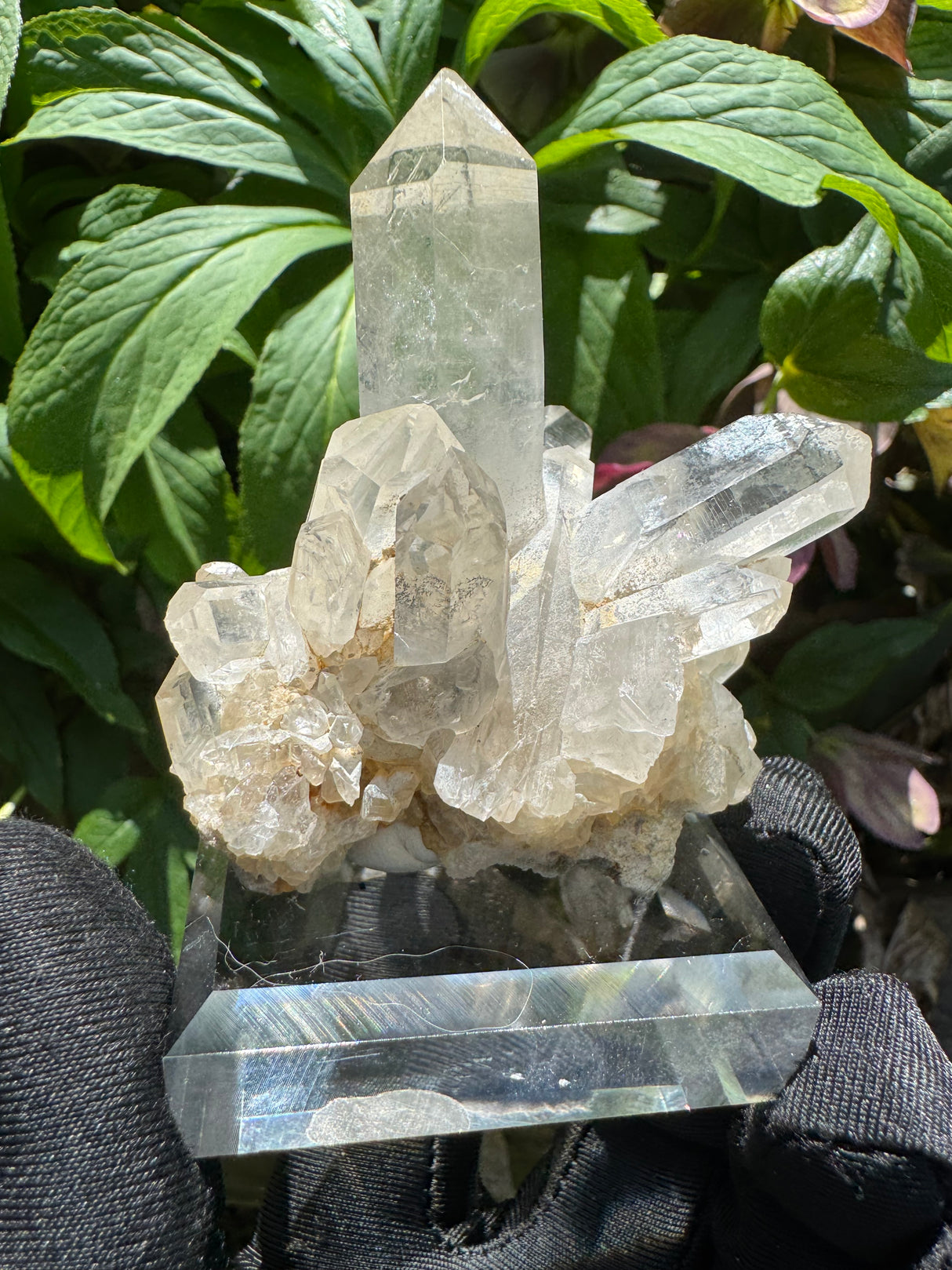 Quartz Specimen - 135g