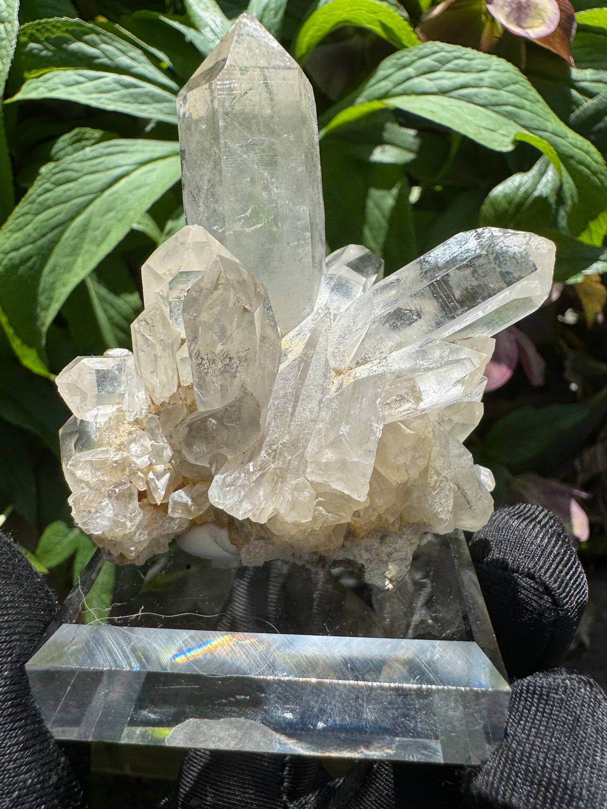 Quartz Specimen - 135g