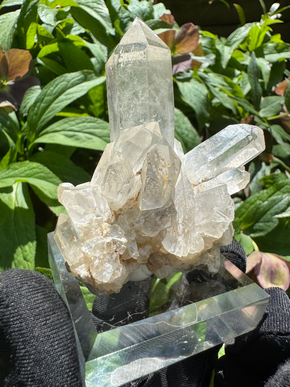 Quartz Specimen - 135g