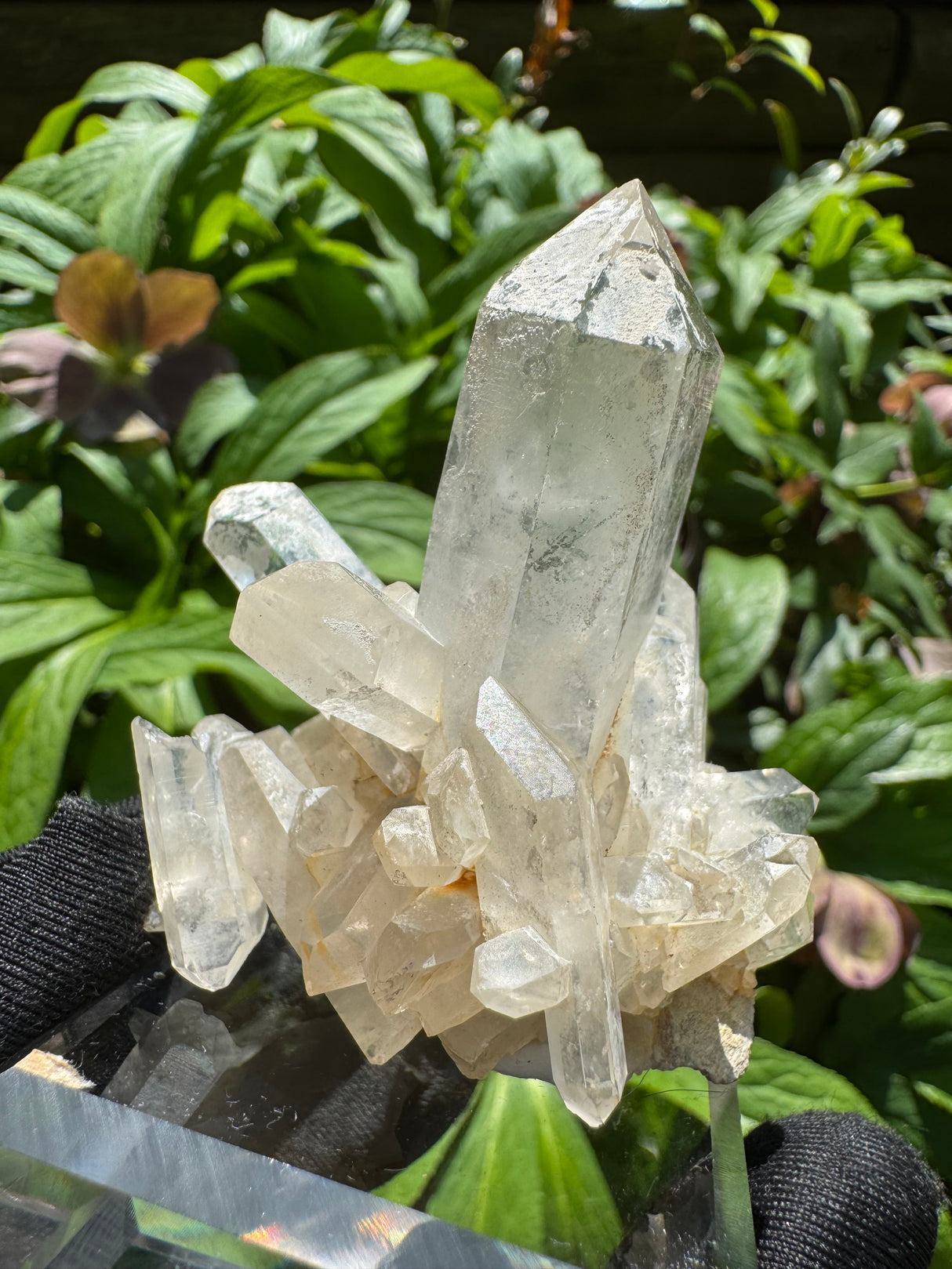 Quartz Specimen - 135g