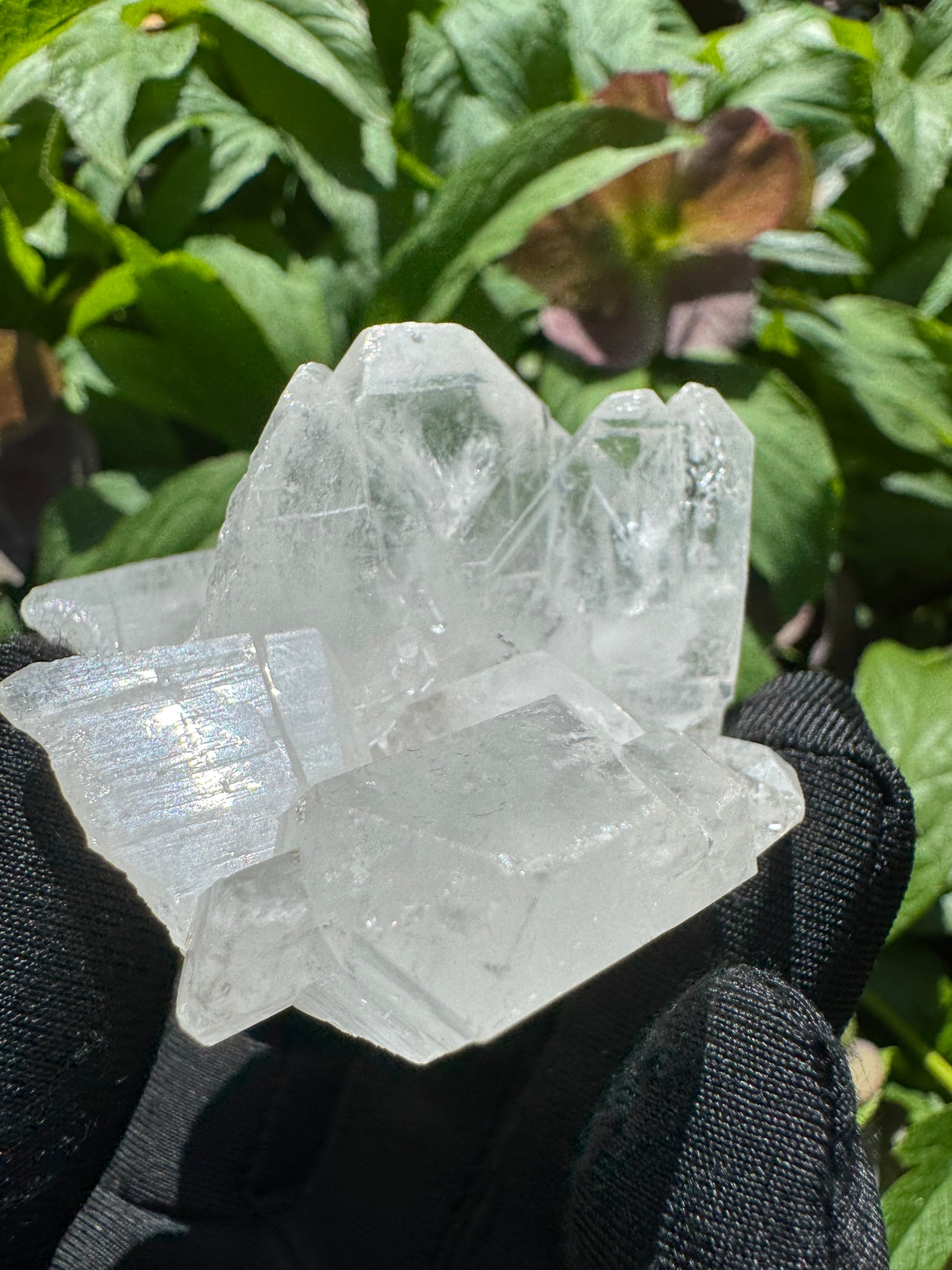 Faden Quartz Specimen - 68g