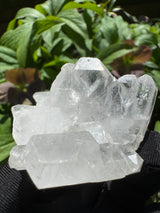 Faden Quartz Specimen - 68g