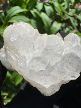 Quartz Specimen - 77g