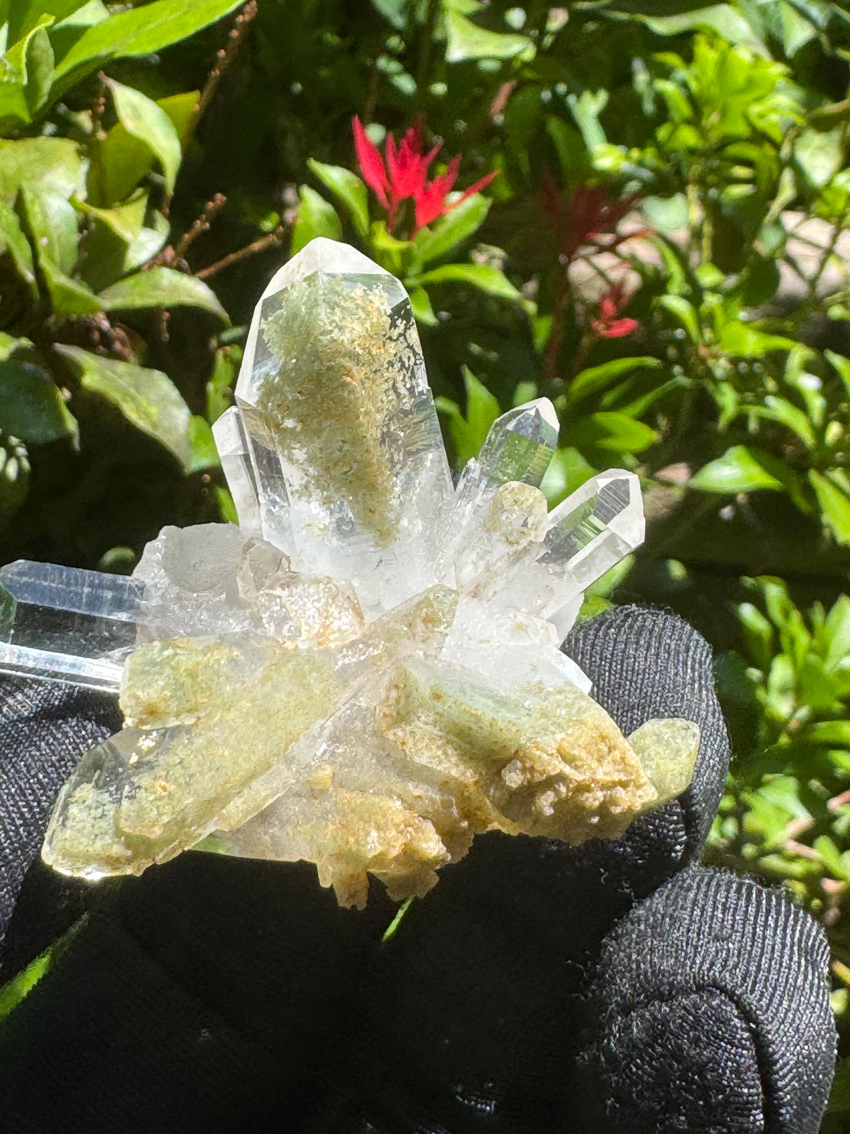 Quartz Specimen - 33g