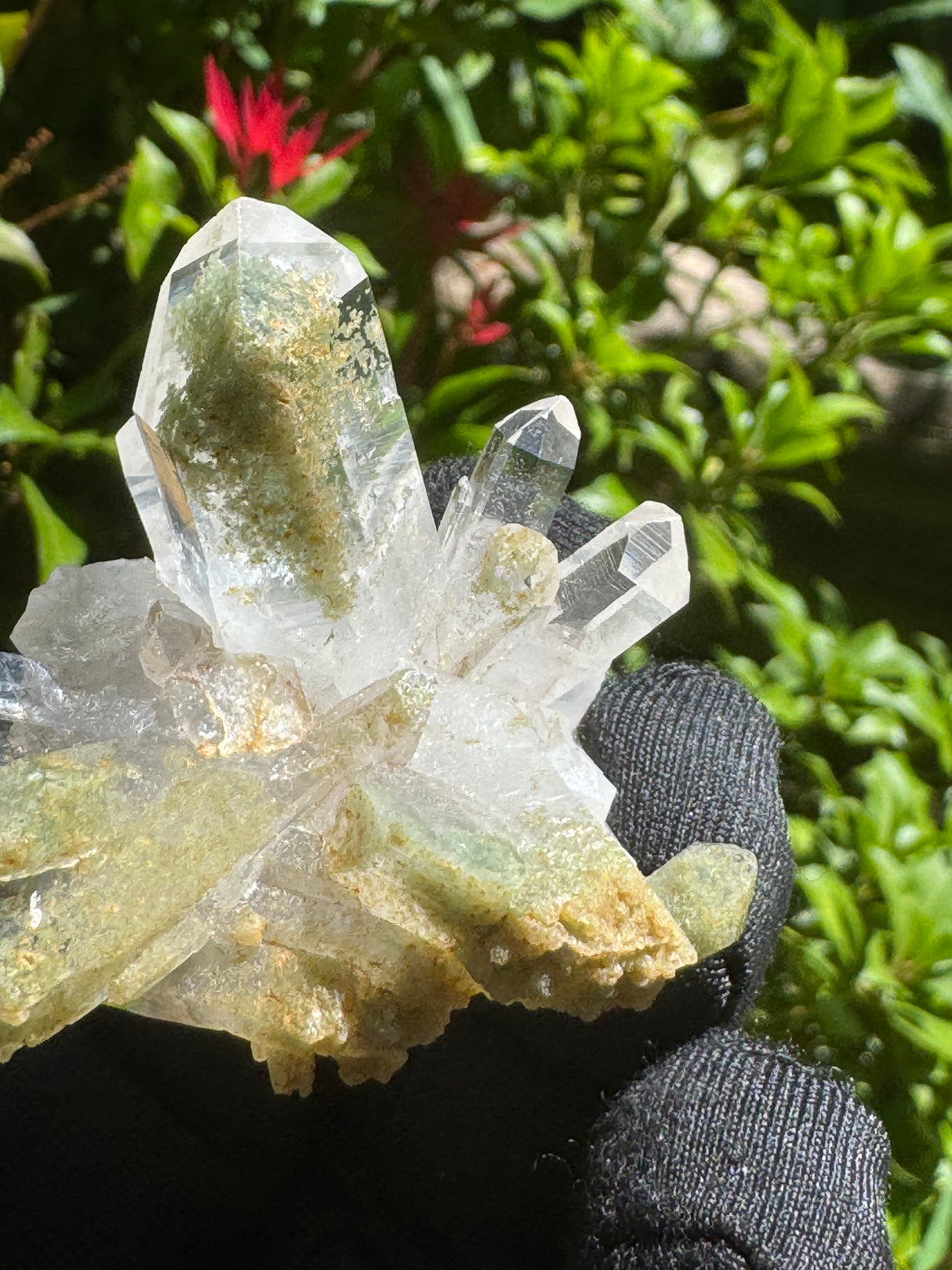 Quartz Specimen - 33g