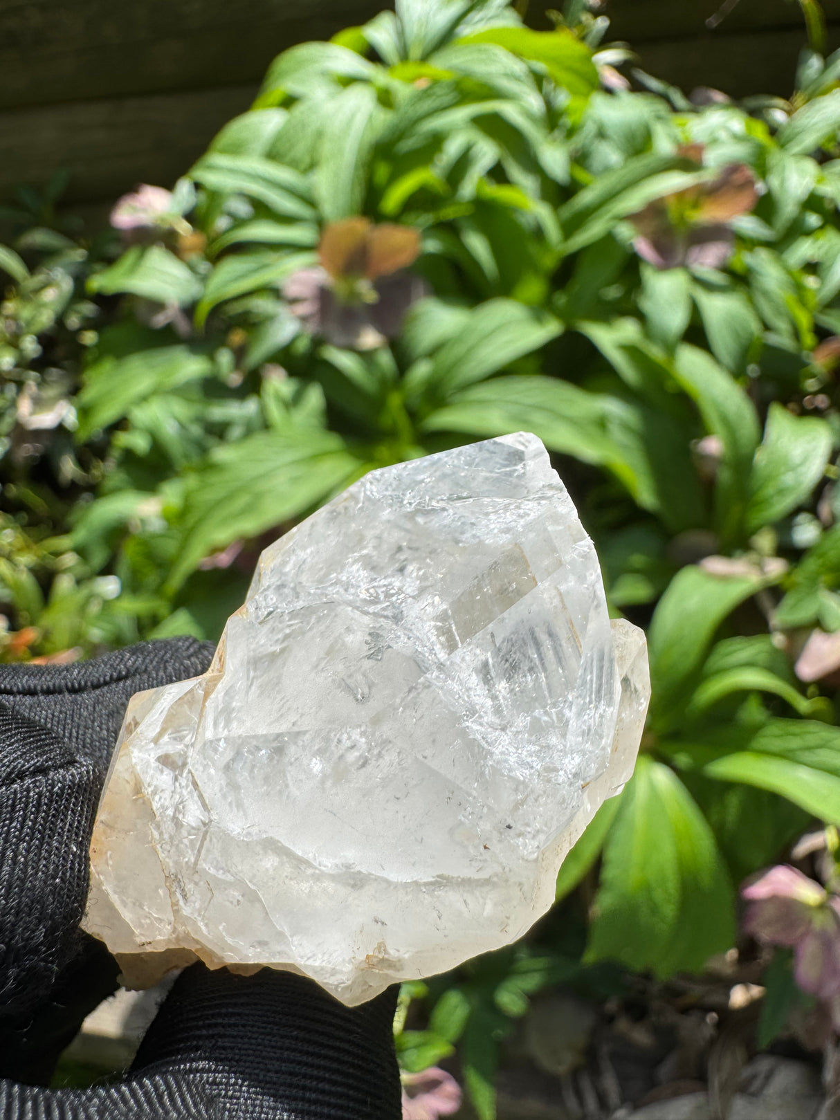 Quartz Specimen - 43g