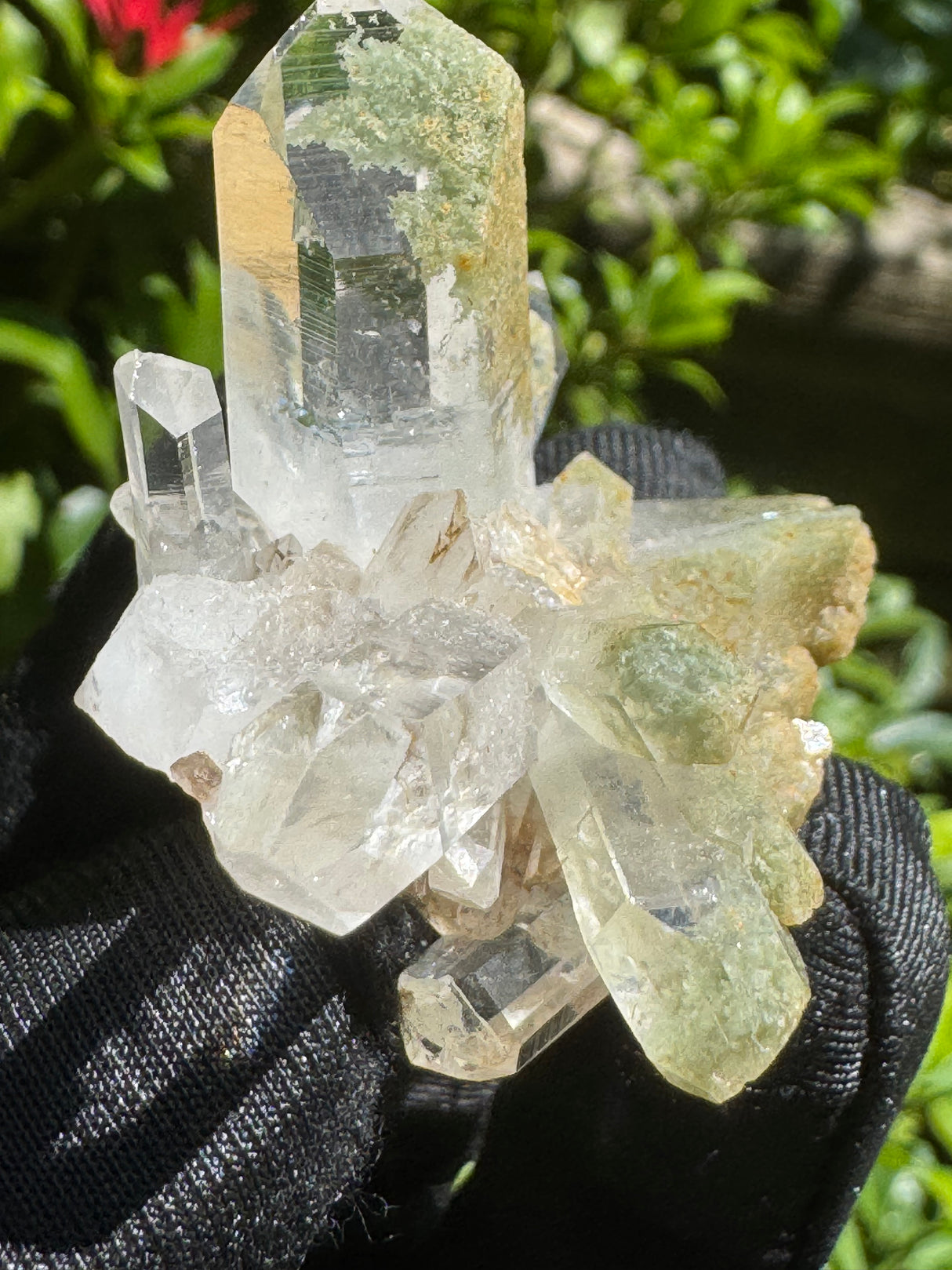 Quartz Specimen - 33g
