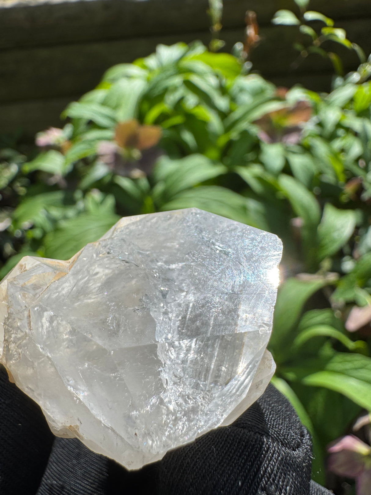 Quartz Specimen - 43g