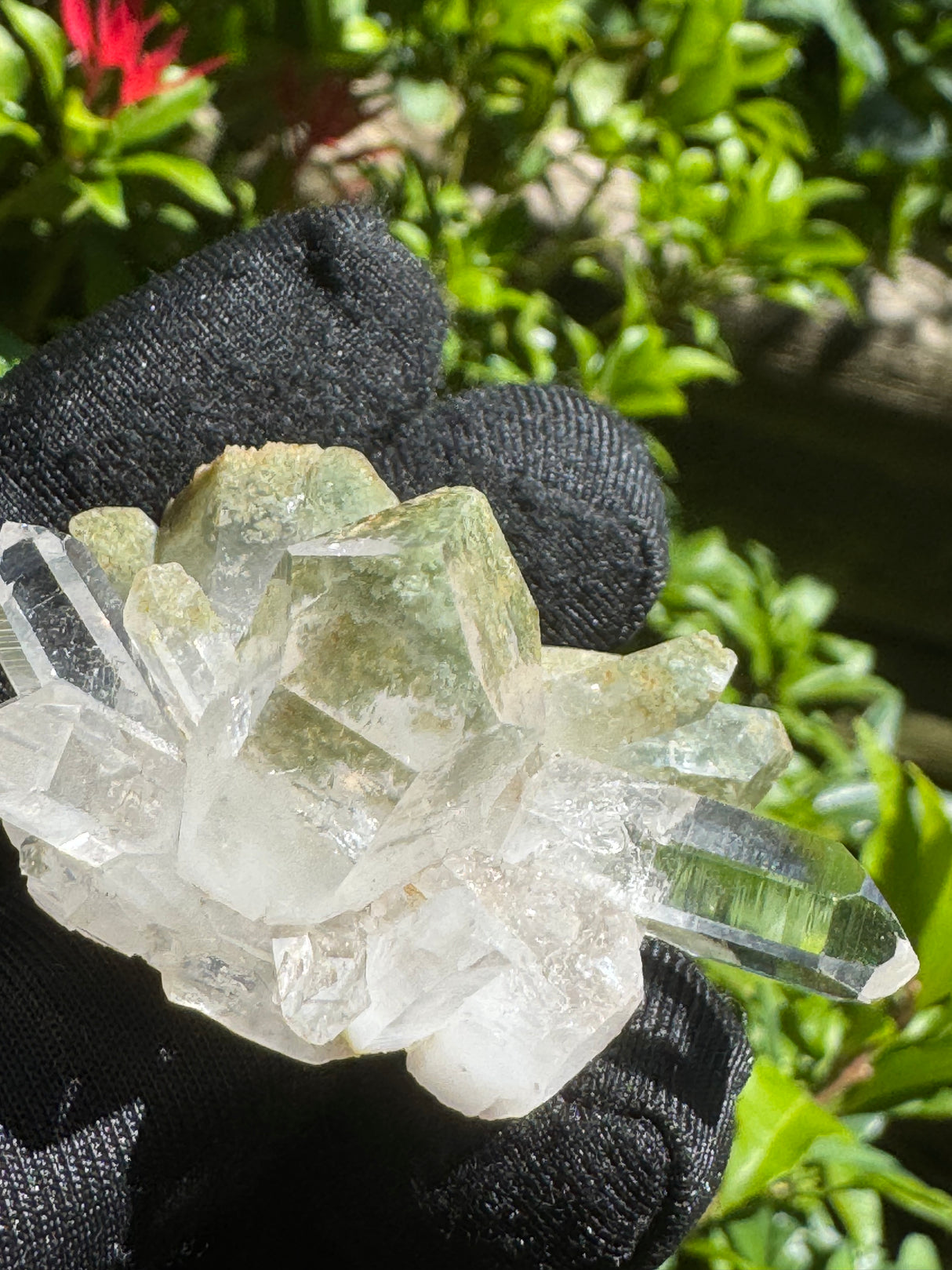 Quartz Specimen - 33g