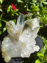Quartz Specimen - 33g