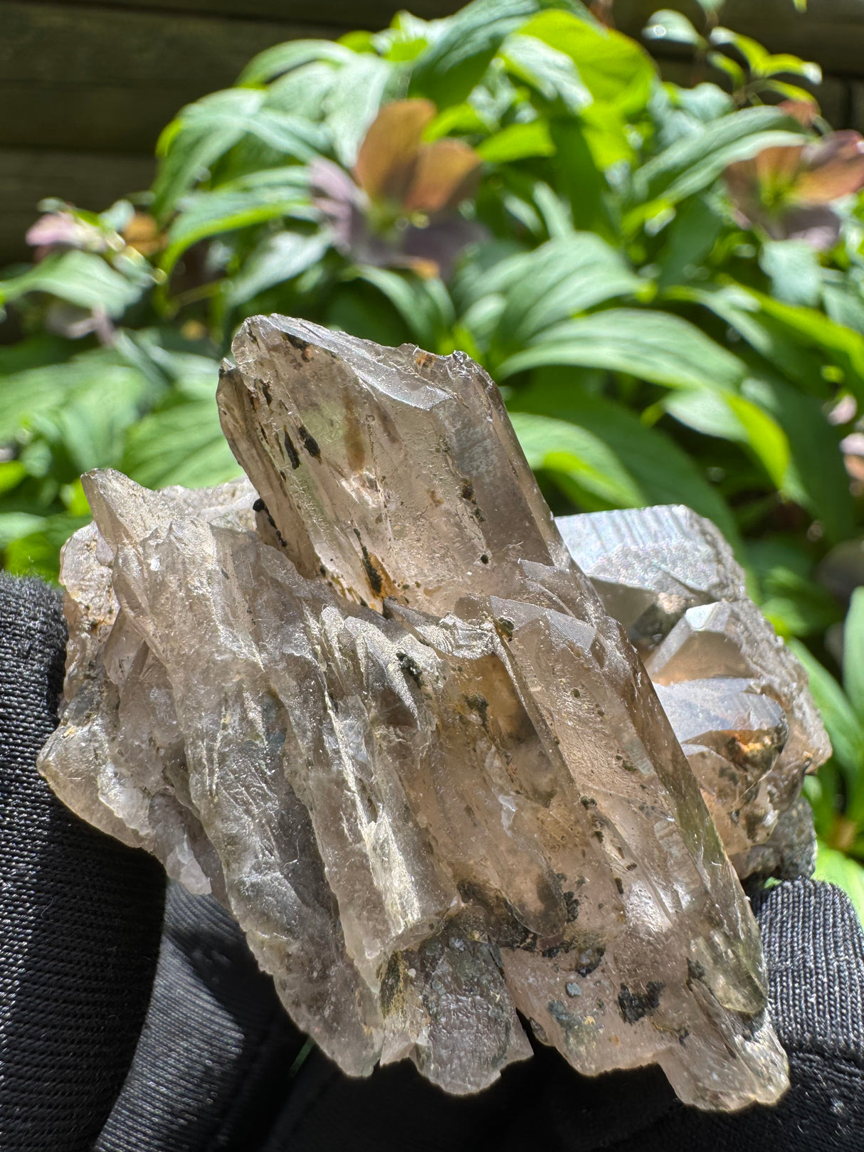 Faden Quartz Specimen - 112g