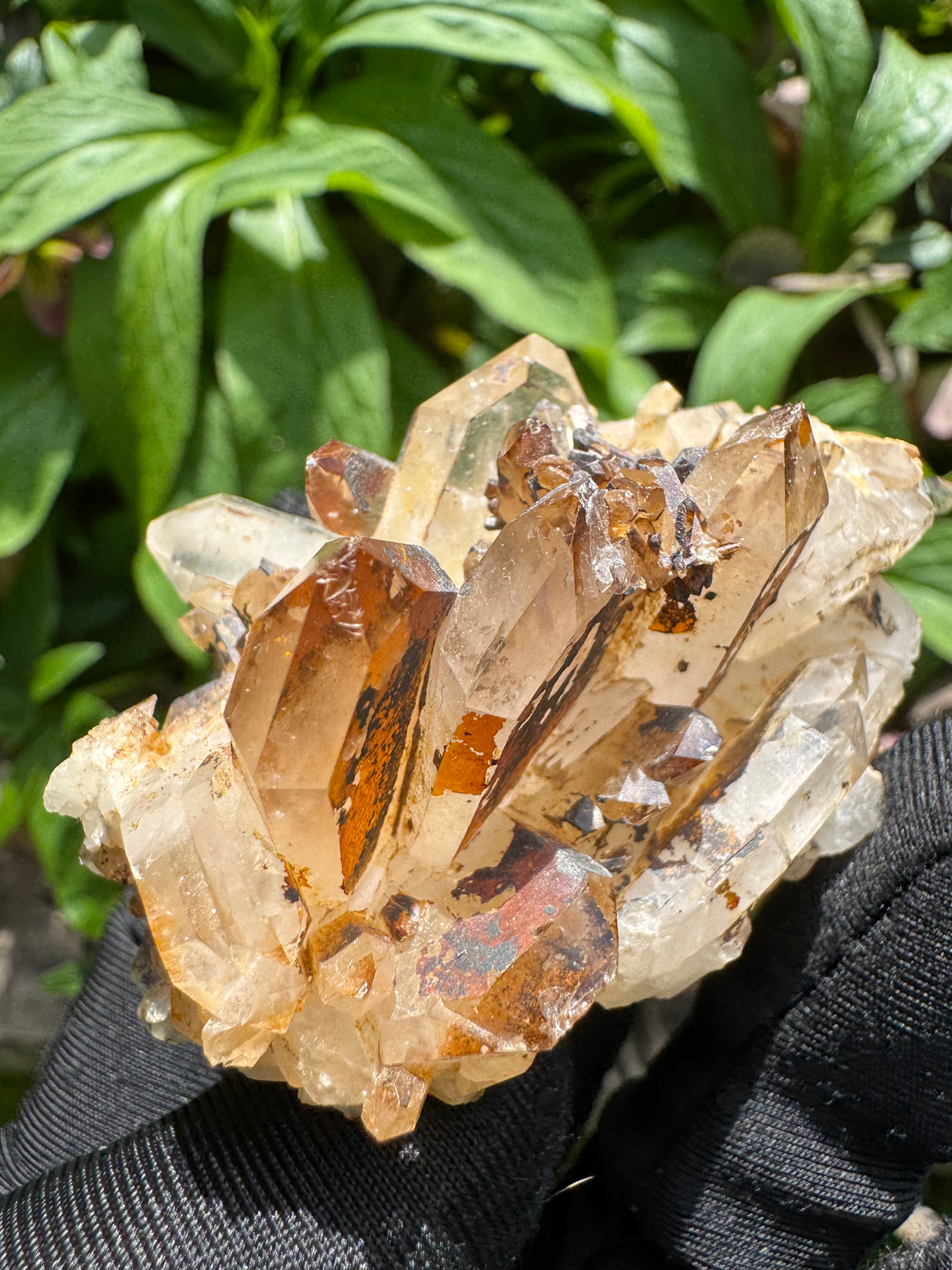 Faden Quartz Specimen - 63g