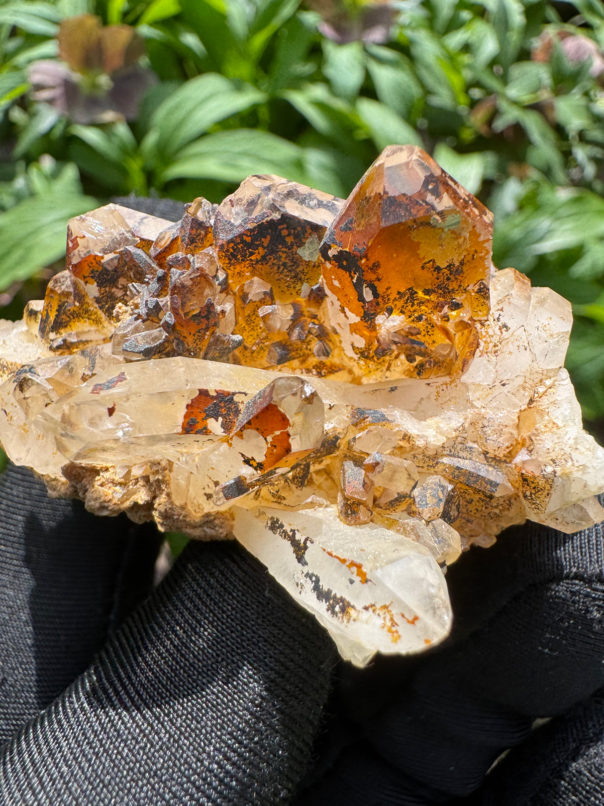 Faden Quartz Specimen - 63g