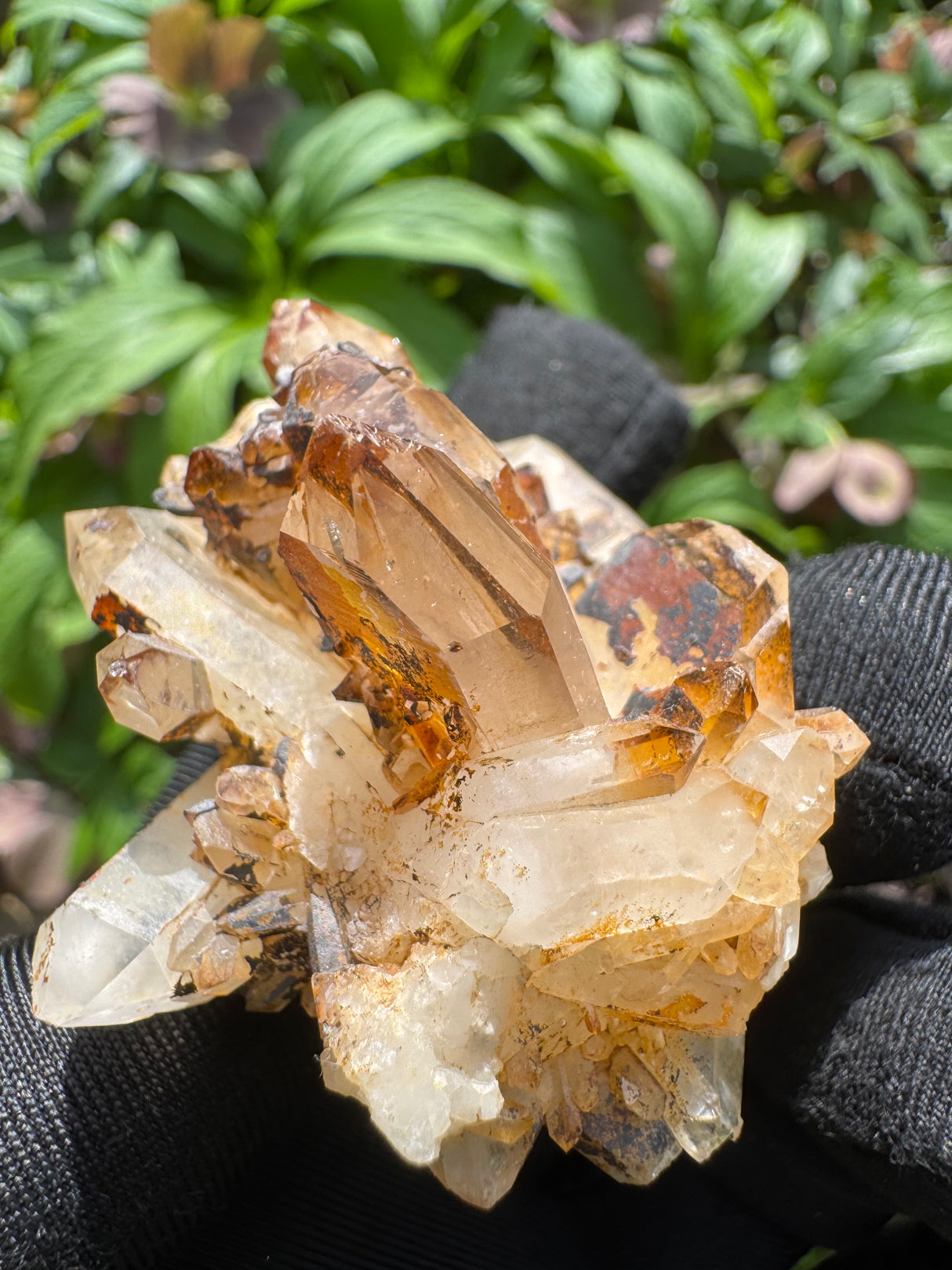 Faden Quartz Specimen - 63g