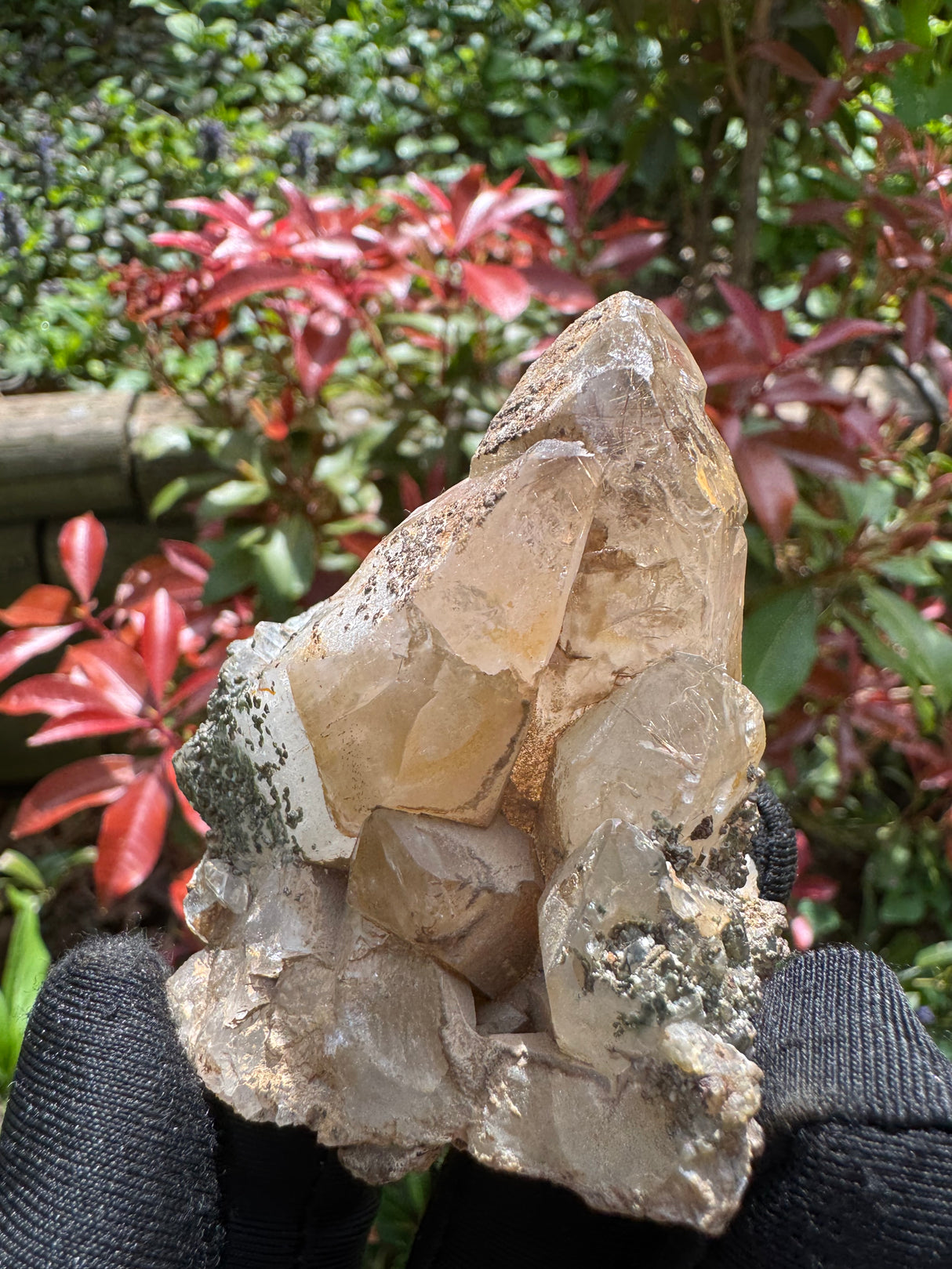 Quartz Specimen - 110g