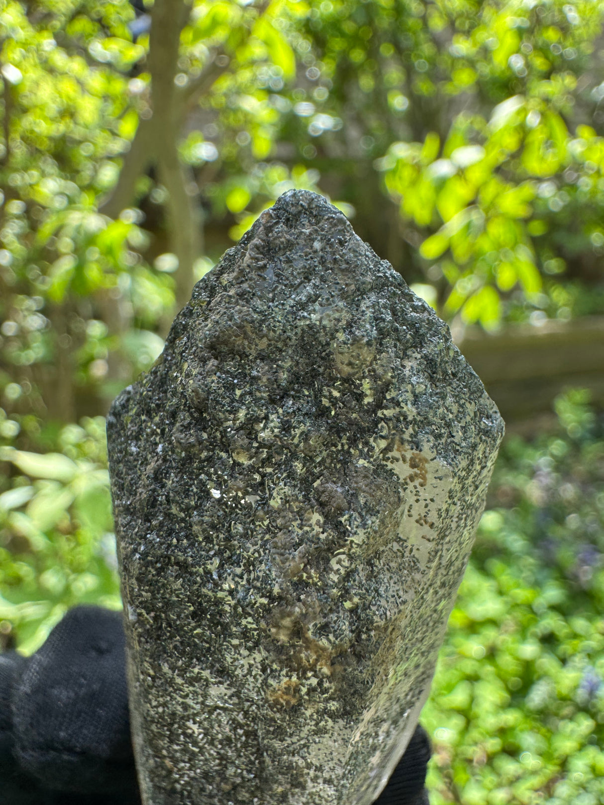 Quartz Specimen - 79g