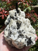 Black Tourmaline  Specimen - 1556g