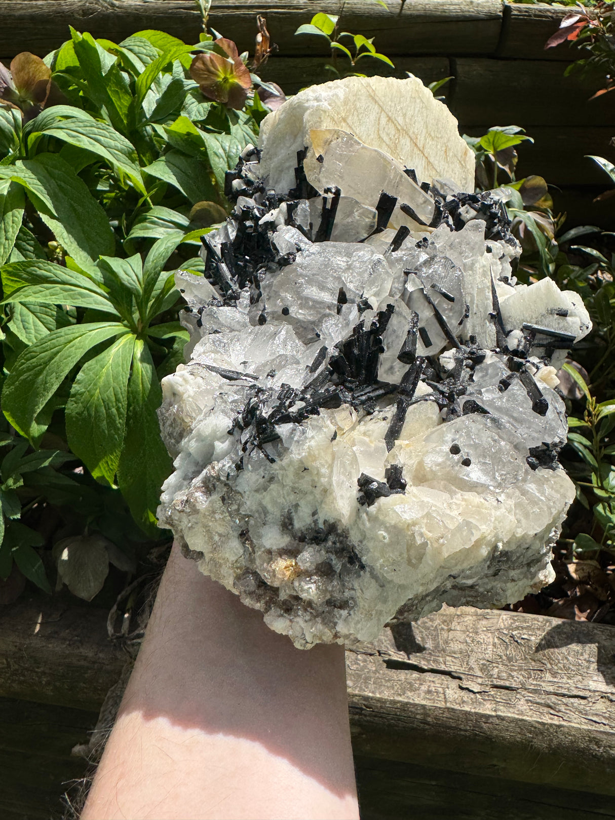 Black Tourmaline & Quartz - 4038g