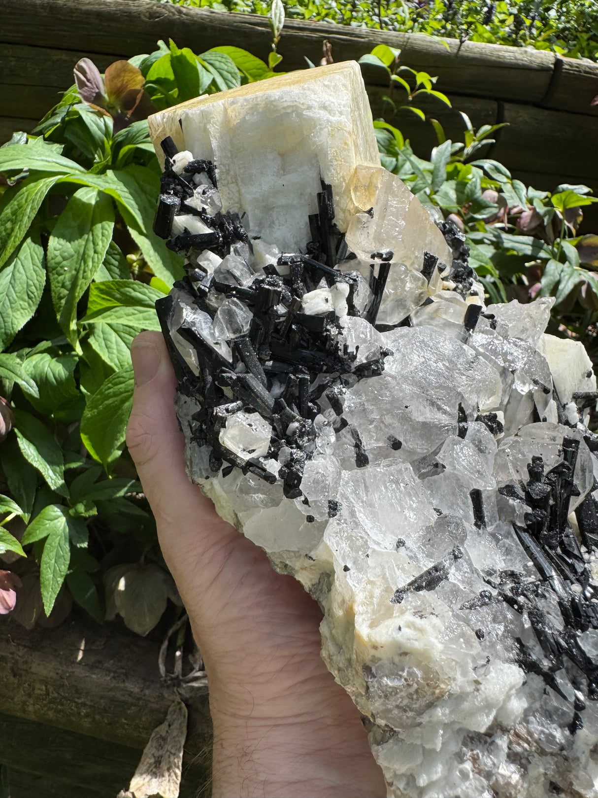 Black Tourmaline & Quartz - 4038g