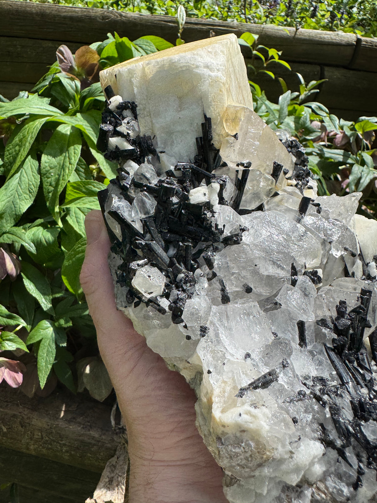 Black Tourmaline & Quartz - 4038g