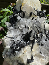 Black Tourmaline & Quartz - 4038g