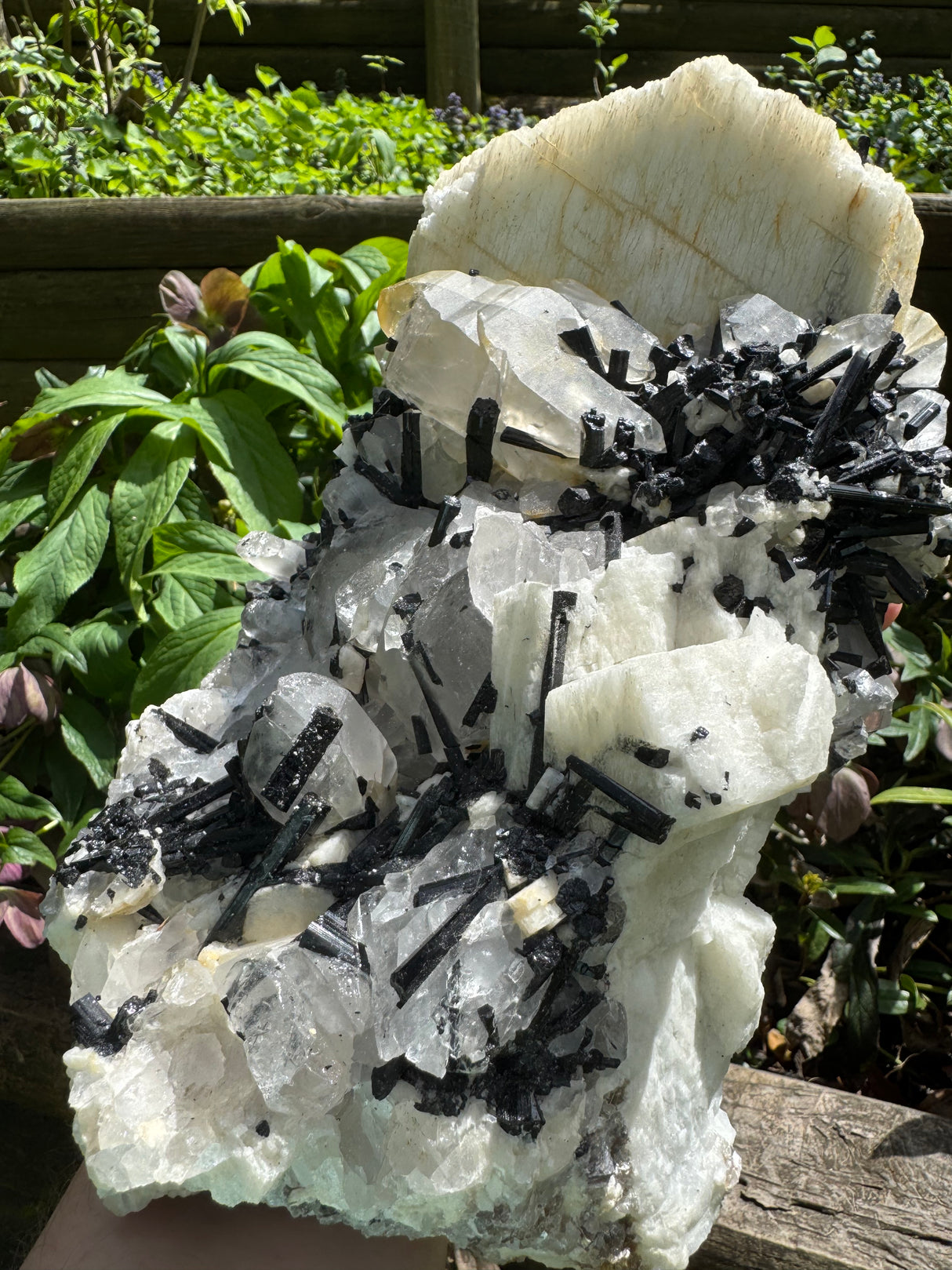 Black Tourmaline & Quartz - 4038g