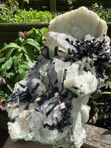 Black Tourmaline & Quartz - 4038g