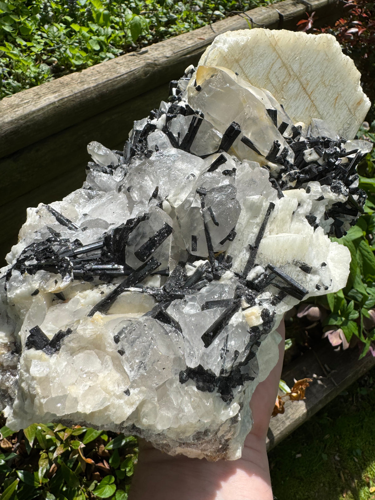 Black Tourmaline & Quartz - 4038g