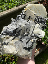 Black Tourmaline & Quartz - 4038g