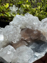 Apophylite  & Chalcedony Specimen - 478g