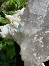 Aquamarine & Tourmaline Specimen - 3322g