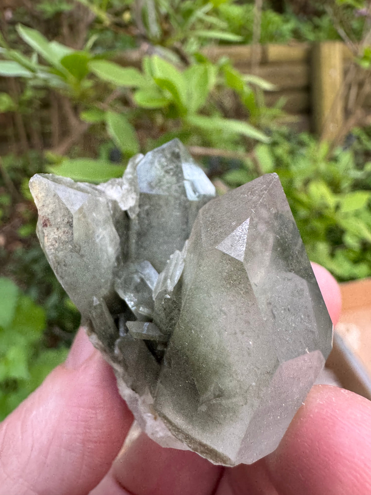 Quartz Specimen - 71g