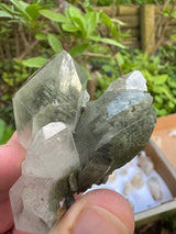 Quartz Specimen - 71g
