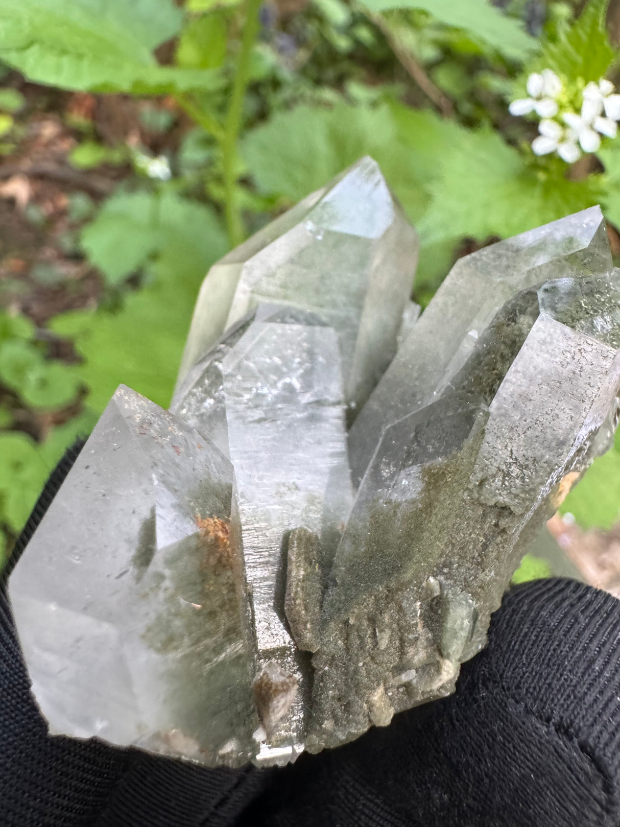 Quartz Specimen - 71g