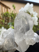 Quartz Specimen - 33g