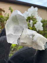 Quartz Specimen - 33g