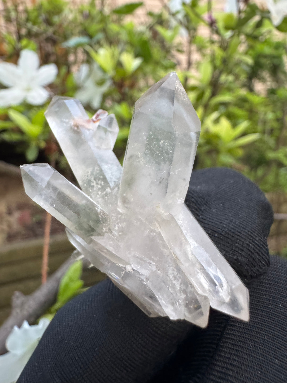 Quartz Specimen - 16g