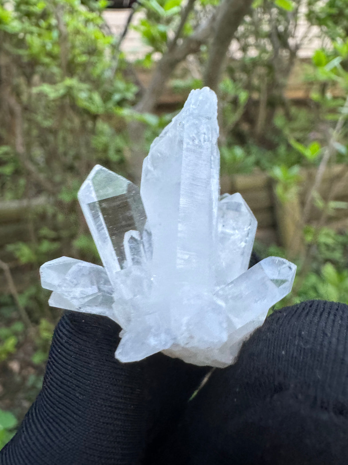 Quartz Specimen - 22g