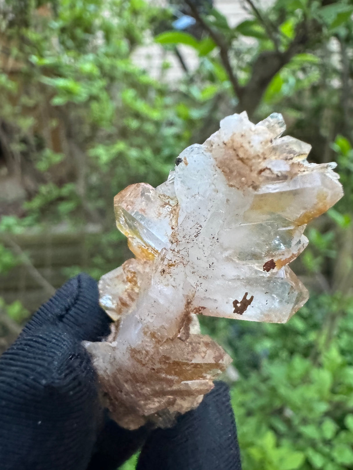 Faden Quartz Specimen - 16g