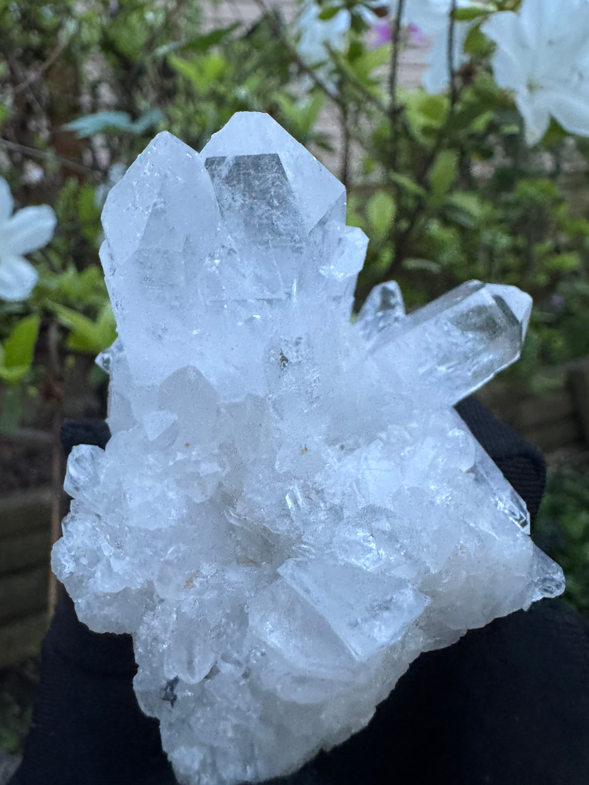Quartz Specimen - 97g