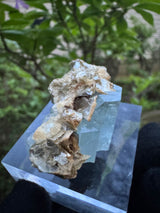 Aquamarine Specimen - 16g