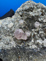 Pink Appetite Specimen - 245g