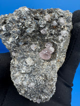 Pink Appetite Specimen - 245g