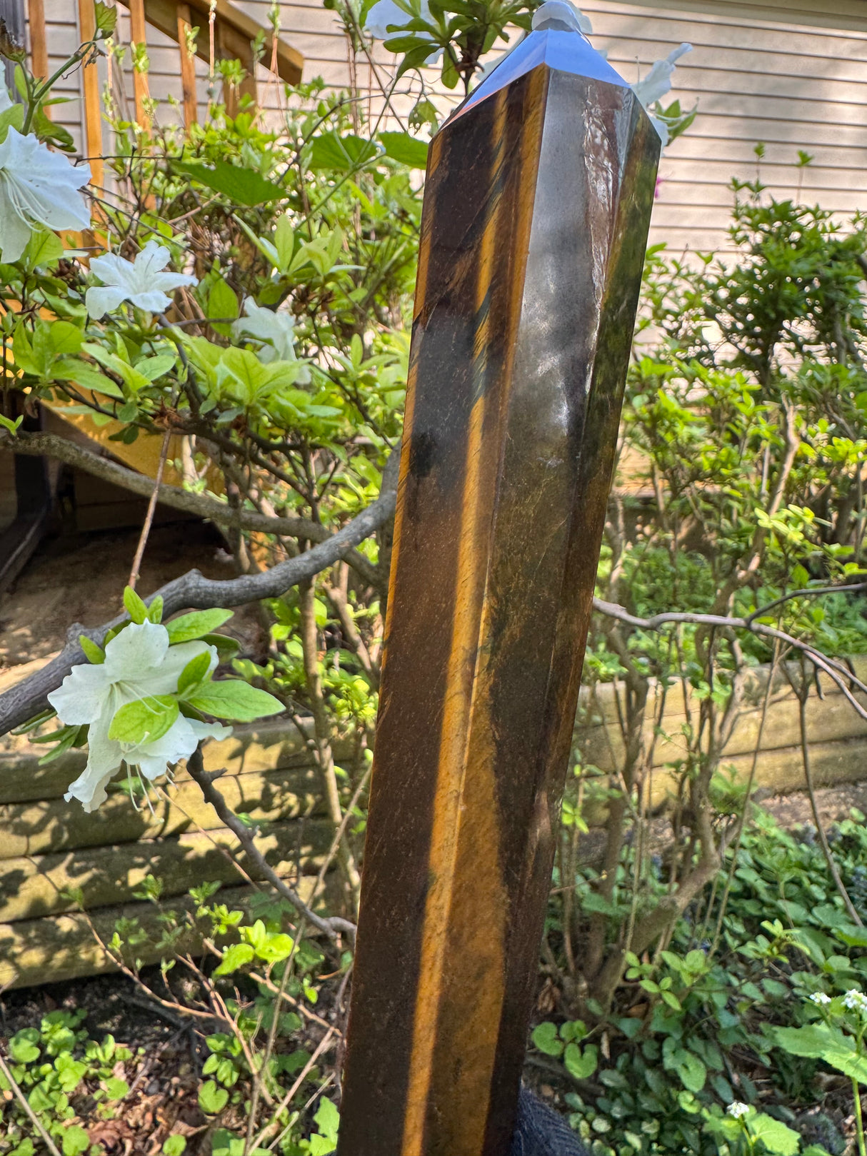 Tigers Eye Polished Wand - 243g