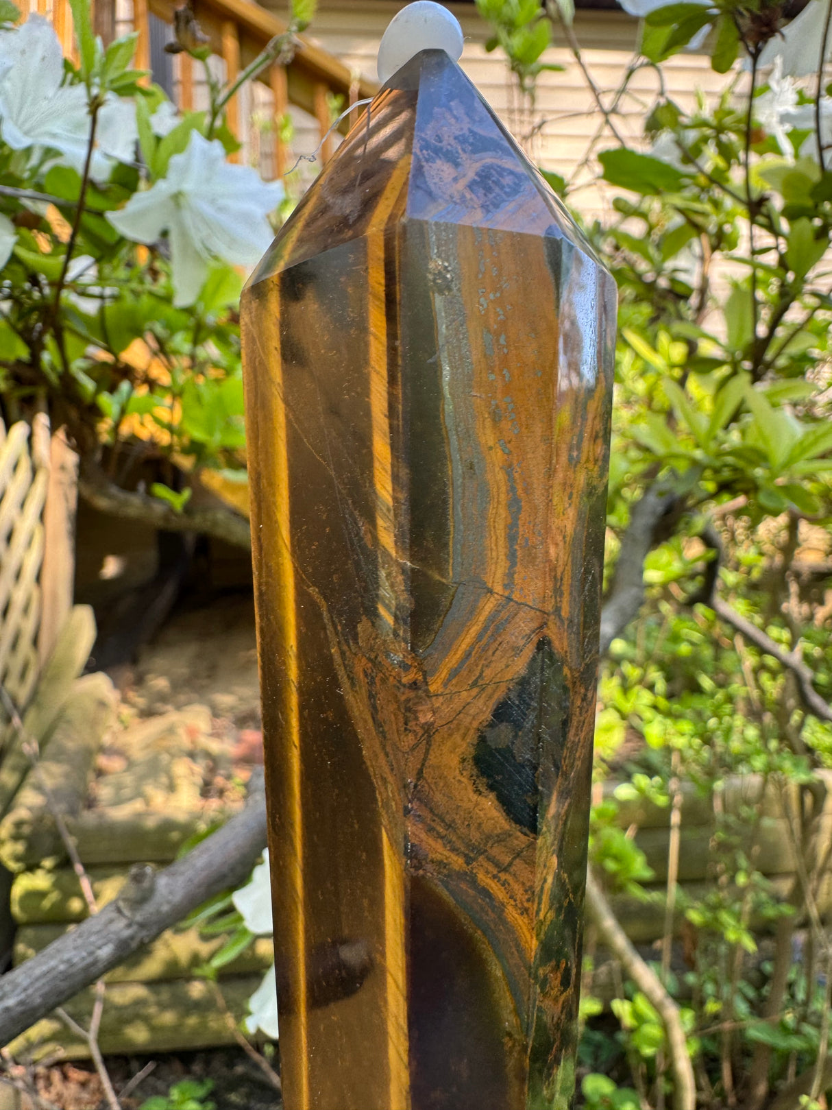 Tigers Eye Polished Wand - 243g