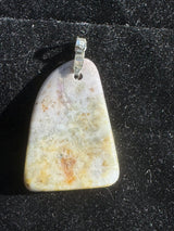 Hackmanite Necklace - 10g