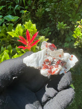 Garnet on Star Mica Specimen - 48g