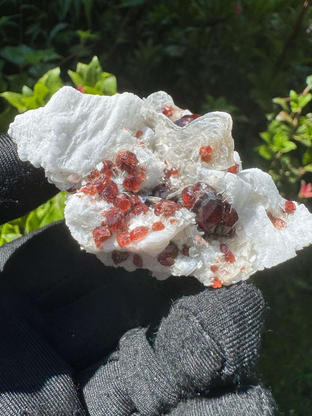 Garnet on Star Mica Specimen - 48g