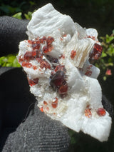 Garnet on Star Mica Specimen - 48g