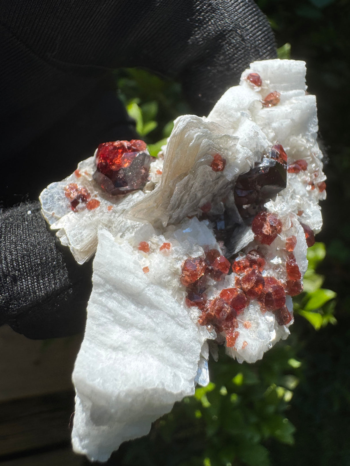 Garnet on Star Mica Specimen - 48g